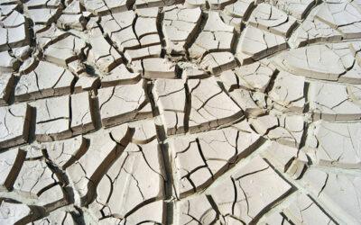 “I Am Here” Conversations of Hope